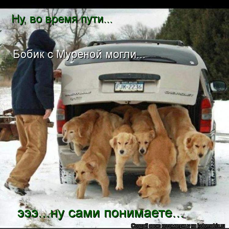 Ну, во время пути... Бобик с Муреной могли... эээ...ну сами понимаете...... Котоматрица: Ну, во время пути... Бобик с Муреной могли... эээ...ну сами понимаете...