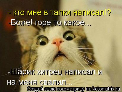 - кто мне в тапки написал!? -Боже! горе то какое... -Шарик хитрец написал и на меня свалил...... Котоматрица: - кто мне в тапки написал!? -Боже! горе то какое... -Шарик хитрец написал и на меня свалил...