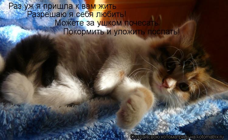 Раз уж я пришла к вам жить Разрешаю я себя любить! Можете за ушком почесать , Покормить и уложить пос... Котоматрица: Раз уж я пришла к вам жить Разрешаю я себя любить! Можете за ушком почесать , Покормить и уложить поспать!