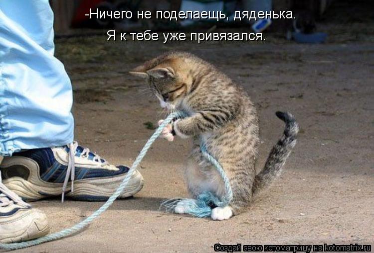 -Ничего не поделаещь, дяденька. Я к тебе уже привязался.... Котоматрица: -Ничего не поделаещь, дяденька. Я к тебе уже привязался.