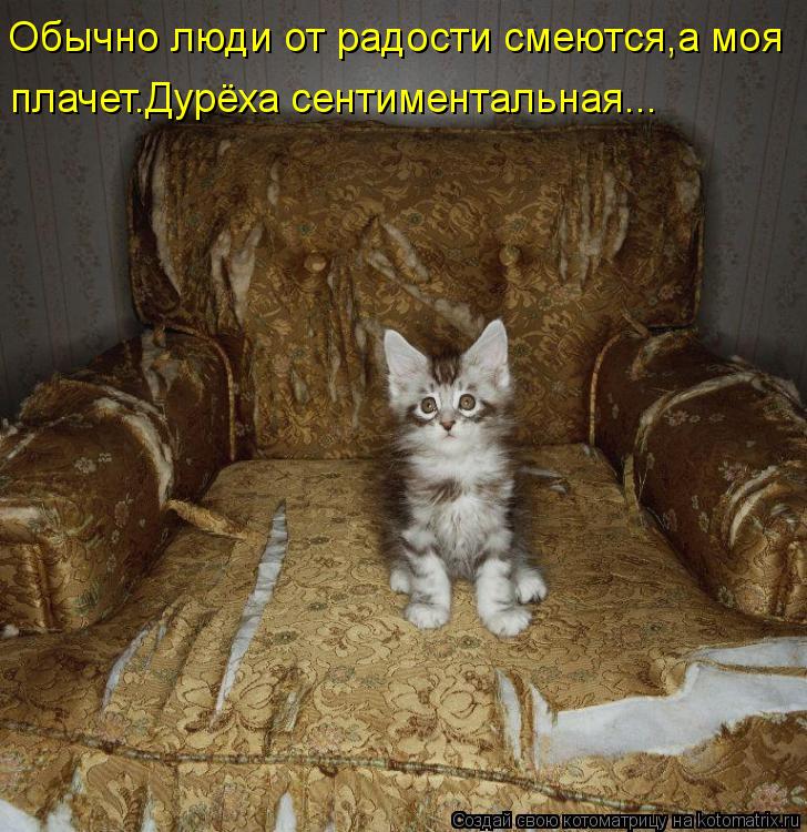 Обычно люди от радости смеются,а моя плачет.Дурёха сентиментальная...... Котоматрица: Обычно люди от радости смеются,а моя плачет.Дурёха сентиментальная...