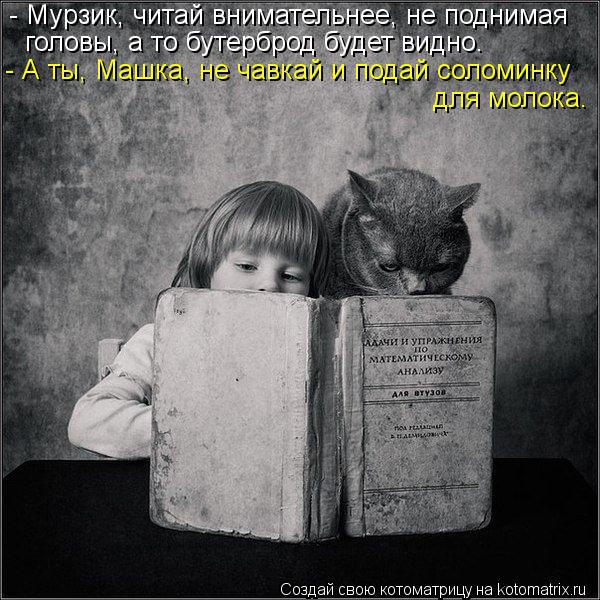 - Мурзик, читай внимательнее, не поднимая головы, а то бутерброд будет видно. - А ты, Машка, не чавк... Котоматрица: - Мурзик, читай внимательнее, не поднимая головы, а то бутерброд будет видно. - А ты, Машка, не чавкай и подай соломинку для молока.