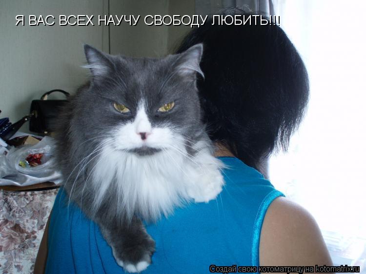 Я ВАС ВСЕХ НАУЧУ Я ВАС ВСЕХ НАУЧУ СВОБОДУ ЛЮБИТЬ!!!... Котоматрица: Я ВАС ВСЕХ НАУЧУ Я ВАС ВСЕХ НАУЧУ СВОБОДУ ЛЮБИТЬ!!!