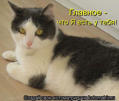 Главное - что Я есть у тебя!... Котоматрица: Главное - что Я есть у тебя!