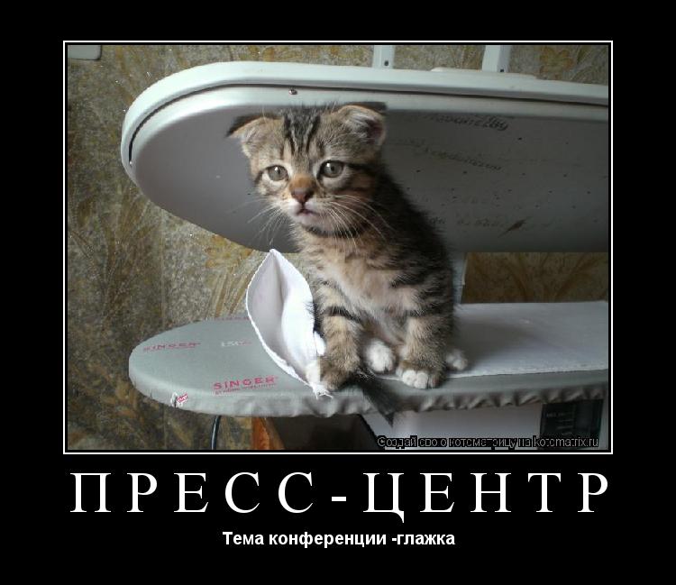 Пресс-центр Тема конференции -глажка... Котоматрица: Пресс-центр Тема конференции -глажка