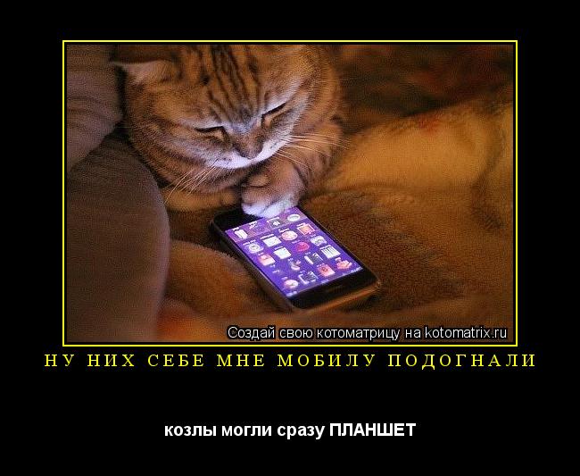 ну них себе мне мобилу подогнали козлы могли сразу ПЛАНШЕТ... Котоматрица: ну них себе мне мобилу подогнали козлы могли сразу ПЛАНШЕТ