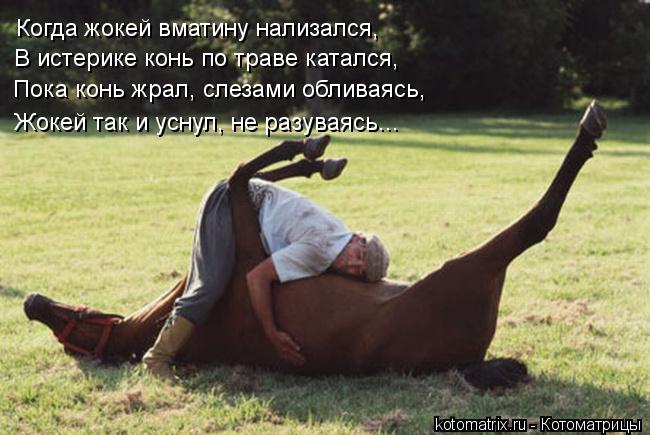 Котоматрица: Когда жокей вматину нализался, В истерике конь по траве катался, Пока конь жрал, слезами обливаясь, Жокей так и уснул, не разуваясь...