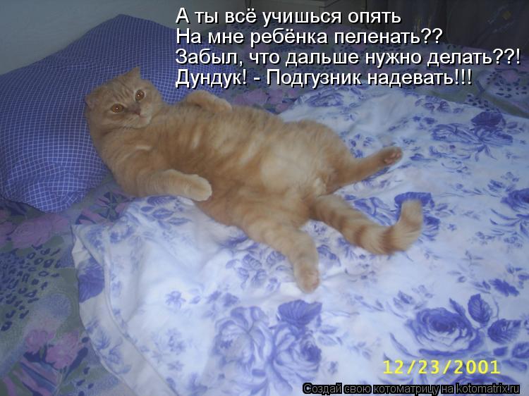 А ты всё учишься опять На мне ребёнка пеленать?? Забыл, что дальше нужно делать??! Дундук! - Подгузн... Котоматрица: А ты всё учишься опять На мне ребёнка пеленать?? Забыл, что дальше нужно делать??! Дундук! - Подгузник надевать!!!