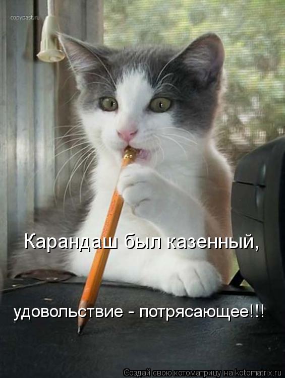 Карандаш был казенный, удовольствие - потрясающее!!!... Котоматрица: Карандаш был казенный, удовольствие - потрясающее!!!