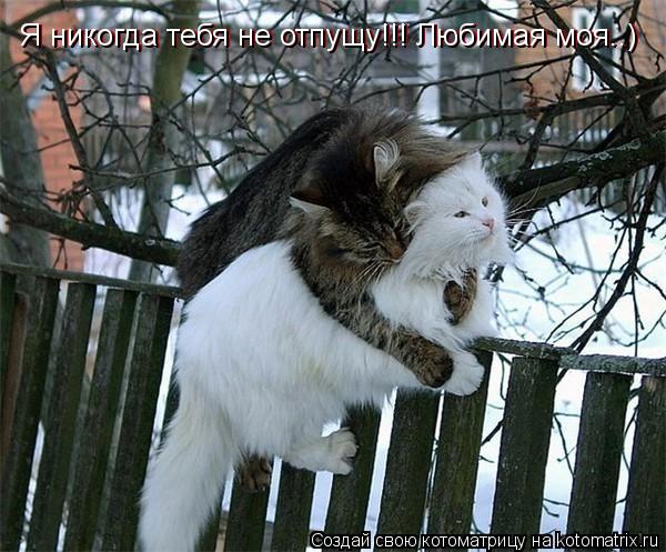 Я никогда тебя не отпущу!!! Любимая моя..) Я никогда тебя не отпущу!!! Любимая моя..)... Котоматрица: Я никогда тебя не отпущу!!! Любимая моя..) Я никогда тебя не отпущу!!! Любимая моя..)