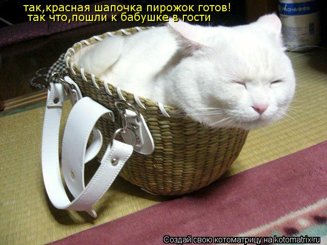 так,красная шапочка пирожок готов! так что,пошли к бабушке в гости... Котоматрица: так,красная шапочка пирожок готов! так что,пошли к бабушке в гости