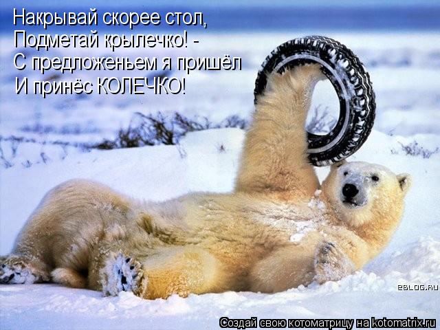 Накрывай скорее стол, Подметай крылечко! - С предложеньем я пришёл И принёс КОЛЕЧКО!... Котоматрица: Накрывай скорее стол, Подметай крылечко! - С предложеньем я пришёл И принёс КОЛЕЧКО!