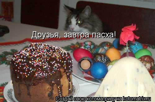 Друзья, завтра пасха!... Котоматрица: Друзья, завтра пасха!