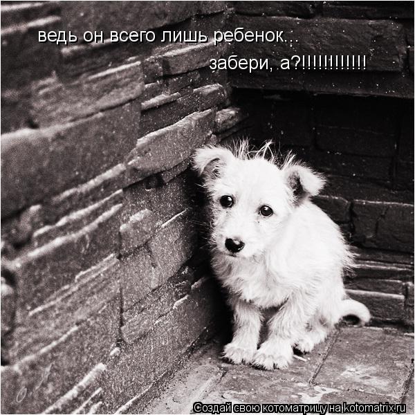 ведь он всего лишь ребенок... забери, а?!!!!!!!!!!!!... Котоматрица: ведь он всего лишь ребенок... забери, а?!!!!!!!!!!!!