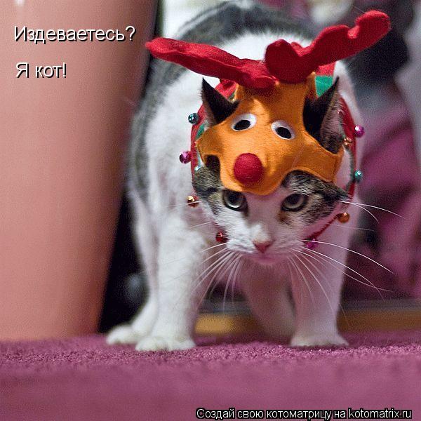 Издеваетесь? Я кот!... Котоматрица: Издеваетесь? Я кот!