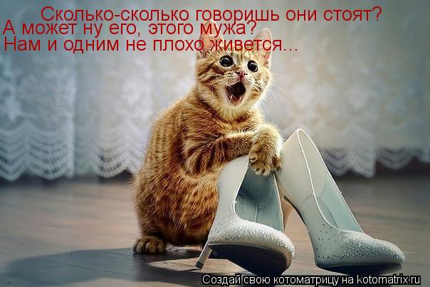 Сколько-сколько говоришь они стоят? Сколько-сколько говоришь они стоят? А может ну его, этого мужа?... Котоматрица: Сколько-сколько говоришь они стоят? Сколько-сколько говоришь они стоят? А может ну его, этого мужа? Нам и одним не плохо живется...