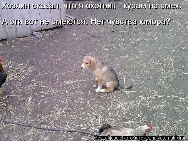 Хозяин сказал, что я охотник - курам на смех. А эти вот не смеются. Нет чувства юмора?... Котоматрица: Хозяин сказал, что я охотник - курам на смех. А эти вот не смеются. Нет чувства юмора?