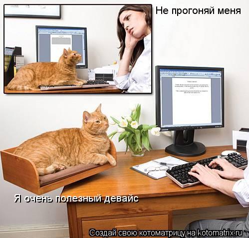 Не прогоняй меня Я очень полезный девайс... Котоматрица: Не прогоняй меня Я очень полезный девайс