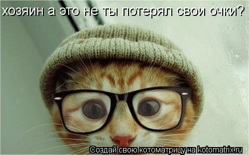 хозяин а это не ты потерял свои очки?... Котоматрица: хозяин а это не ты потерял свои очки?