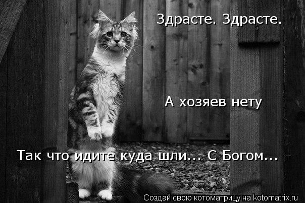 Здрасте. Здрасте. А хозяев нету Так что идите куда шли... С Богом...... Котоматрица: Здрасте. Здрасте. А хозяев нету Так что идите куда шли... С Богом...