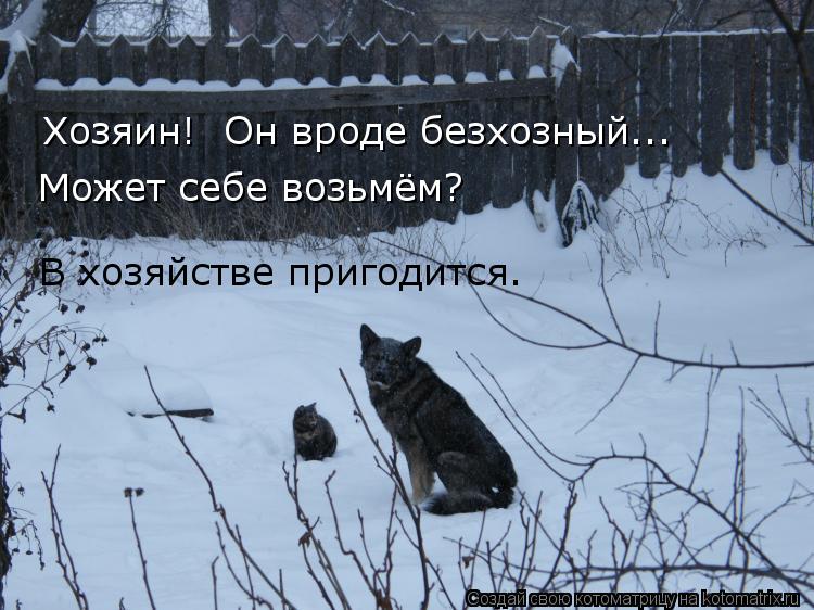 Хозяин! Может себе возьмём? Он вроде безхозный... В хозяйстве пригодится.... Котоматрица: Хозяин! Может себе возьмём? Он вроде безхозный... В хозяйстве пригодится.