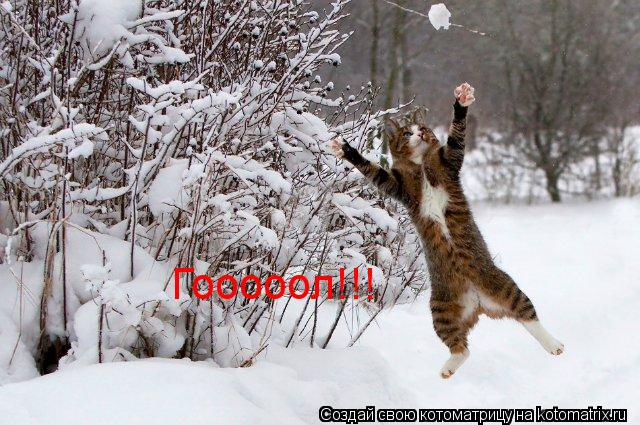 Гооооол!!!... Котоматрица: Гооооол!!!