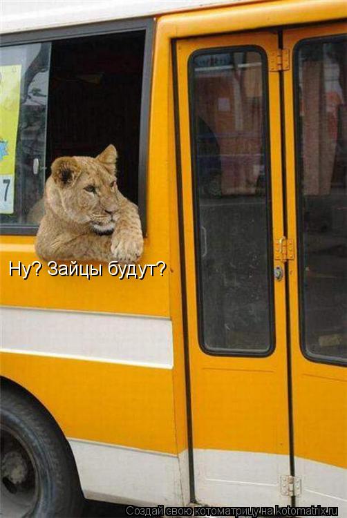 Ну? Зайцы будут?... Котоматрица: Ну? Зайцы будут?
