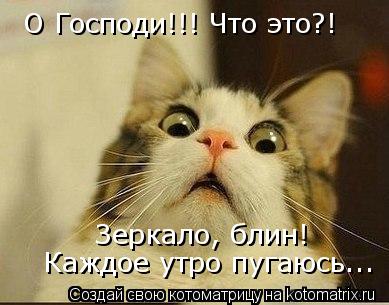 О Господи!!! Что это?! Зеркало, блин! Каждое утро пугаюсь...... Котоматрица: О Господи!!! Что это?! Зеркало, блин! Каждое утро пугаюсь...