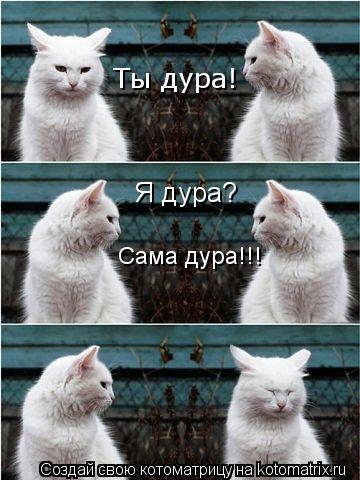 Я дура? Сама дура!!! Ты дура!... Котоматрица: Я дура? Сама дура!!! Ты дура!