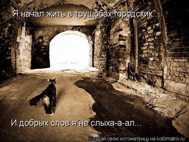 Я начал жить в трущобах городских... И добрых слов я не слыха-а-ал...... Котоматрица: Я начал жить в трущобах городских... И добрых слов я не слыха-а-ал...