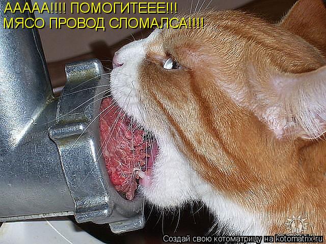 Котоматрица: ААААА!!!! ПОМОГИТЕЕЕ!!! МЯСО ПРОВОД СЛОМАЛСА!!!!