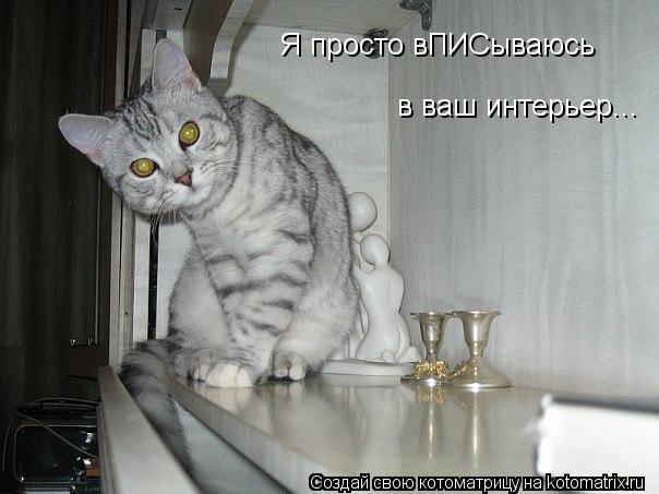 Котоматрица: Я просто вПИСываюсь  в ваш интерьер...