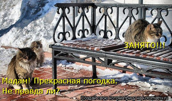 Котоматрица: Мадам! Прекрасная погодка. Не правда ли? ЗАНЯТО!!!