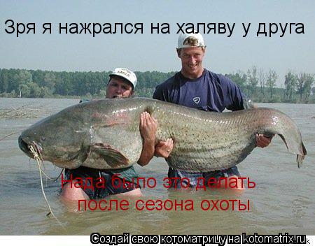 Котоматрица: Зря я нажрался на халяву у друга Нада было это делать после сезона охоты