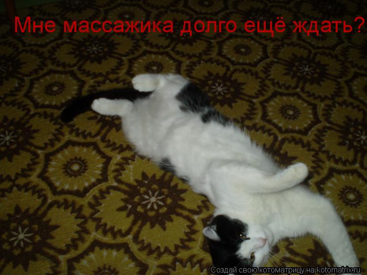 Котоматрица: Мне массажика долго ещё ждать?