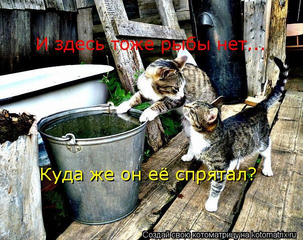 Котоматрица: И здесь тоже рыбы нет... Куда же он её спрятал?