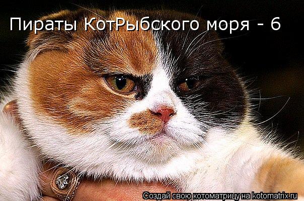 Котоматрица: Пираты КотРыбского моря - 6