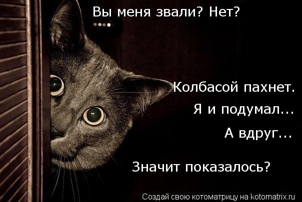 Котоматрица: Колбасой пахнет. Я и подумал... Вы меня звали? Нет? А вдруг... Значит показалось?