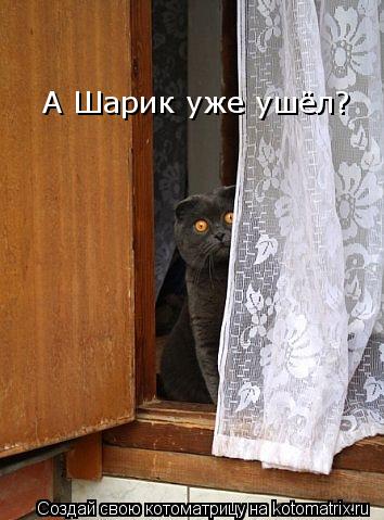 А Шарик уже ушёл?... Котоматрица: А Шарик уже ушёл?