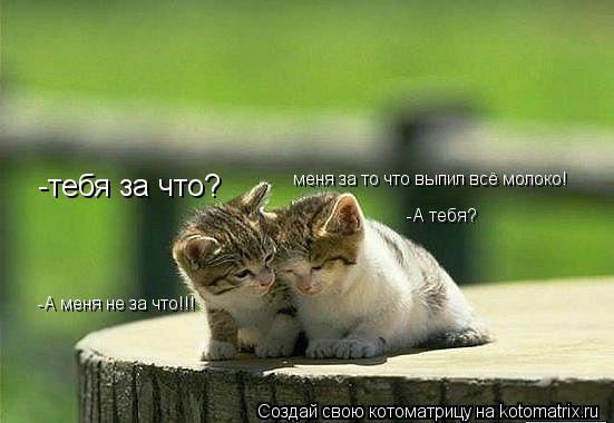 -тебя за что? меня за то что выпил всё молоко! -А тебя? -А меня не за что!!!... Котоматрица: -тебя за что? меня за то что выпил всё молоко! -А тебя? -А меня не за что!!!