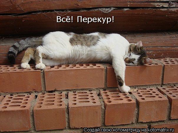 Всё! Перекур!... Котоматрица: Всё! Перекур!