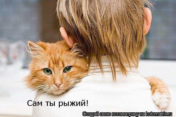 Сам ты рыжий!... Котоматрица: Сам ты рыжий!