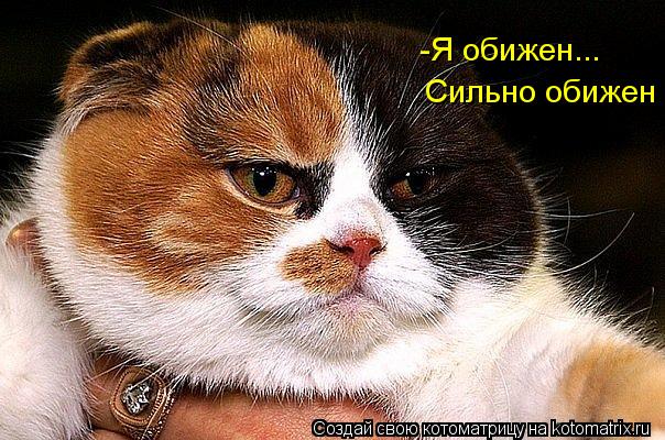-Я обижен... Сильно обижен... Котоматрица: -Я обижен... Сильно обижен