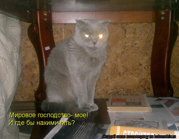 Котоматрица: Мировое господство- мое! И где бы нахимичить?
