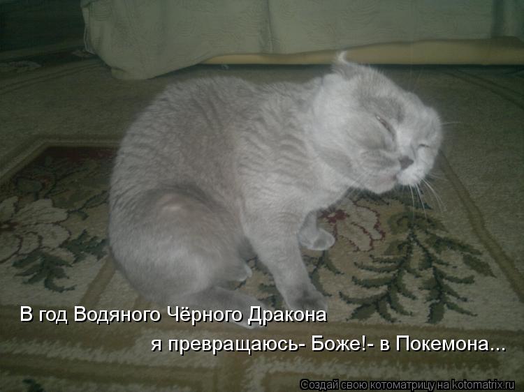 Котоматрица: В год Водяного Чёрного Дракона я превращаюсь- Боже!- в Покемона... В год Водяного Чёрного Дракона   я превращаюсь- Боже!- в Покемона...
