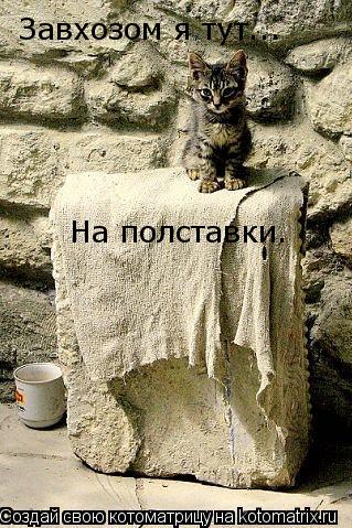 Котоматрица: Завхозом я тут... На полставки.