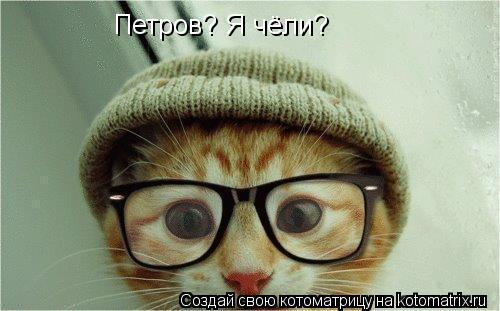 Котоматрица: Петров? Я чёли?