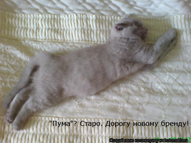 Котоматрица: "Пума"? Старо. Дорогу новому бренду!