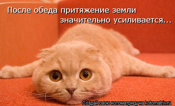 Пожелание после обеда Пожелание после обеда