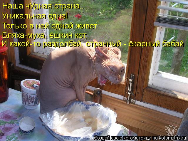 Котоматрица: Наша чУдная страна... Уникальная одна! Только в ней одной живет Бляха-муха, ёшкин кот, И какой-то раздолбай, странный - ёкарный бабай